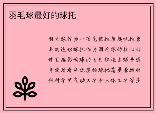 羽毛球最好的球托